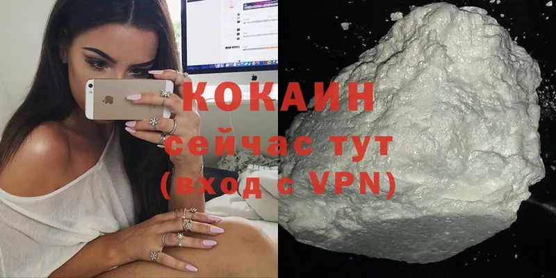 Cocaine FishScale  гидра сайт  Амурск 